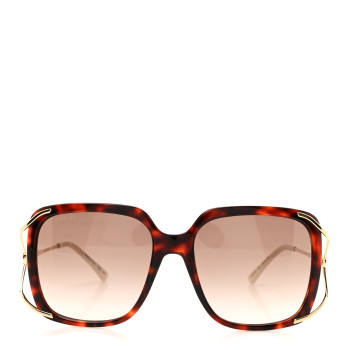 GUCCI Acetate Butterfly Sunglasses GG0647S Havana Brown Gold