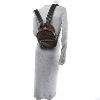 LOUIS VUITTON Monogram Palm Springs Backpack PM