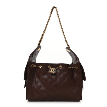 CHANEL Caviar Quilted Small Chanel 25 Handbag Dark Brown