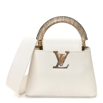 LOUIS VUITTON Taurillon Ayers Capucines Mini White Snow White