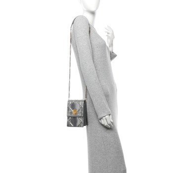 CHRISTIAN DIOR Metallic Calfskin Studded Vertical Diorama Silver