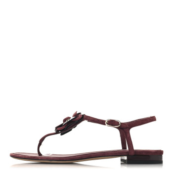CHANEL Suede Calfskin Camellia Thong Sandals 39.5 Burgundy