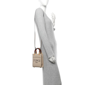 FENDI Vitello King Plexiglass Elaphe Snakeskin Print Logo Mini Fendi Sunshine Shopper Tote Nuvola Daisy Roccia