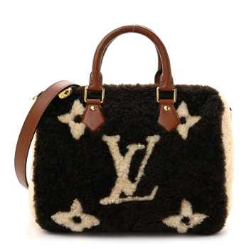 LOUIS VUITTON Monogram Teddy Speedy Bandouliere 25