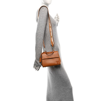 LOUIS VUITTON Epi Cluny Mini Gold Honey