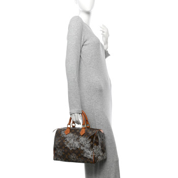 LOUIS VUITTON Monogram Dentelle Speedy 30 Silver