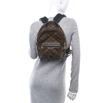 LOUIS VUITTON Monogram Palm Springs Backpack PM
