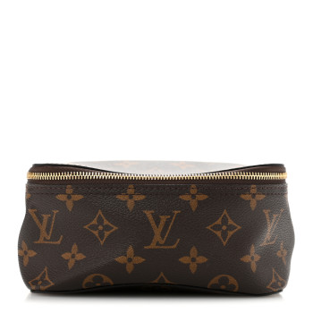 LOUIS VUITTON Monogram Packing Cube PM