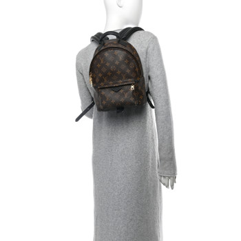LOUIS VUITTON Monogram Palm Springs Backpack PM
