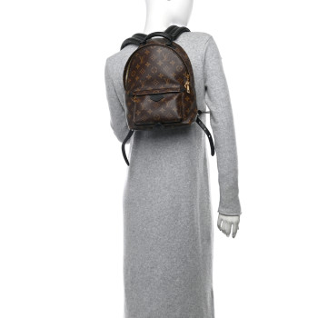 LOUIS VUITTON Monogram Palm Springs Backpack PM